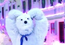 European Saigon Snow Town Polar Bear Saigon Snow Town